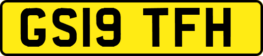 GS19TFH