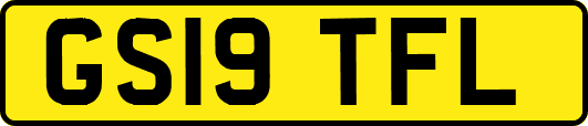 GS19TFL
