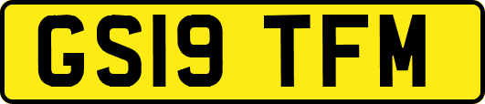 GS19TFM