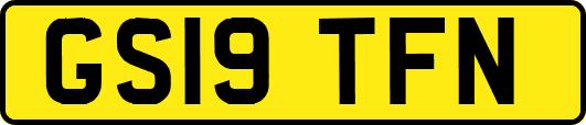 GS19TFN