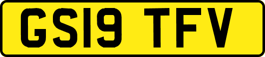 GS19TFV