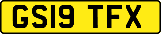 GS19TFX