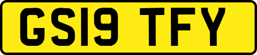 GS19TFY