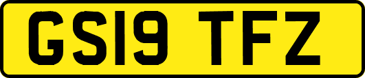 GS19TFZ