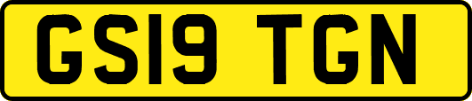 GS19TGN