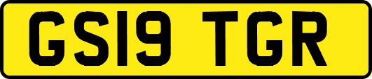 GS19TGR