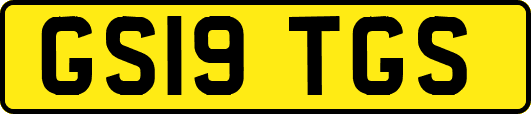 GS19TGS