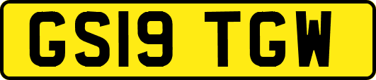 GS19TGW