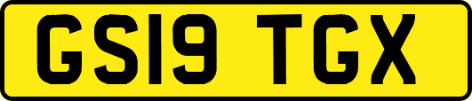 GS19TGX