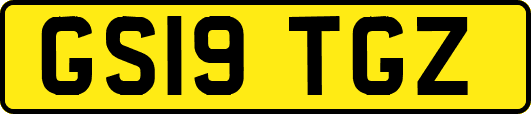 GS19TGZ