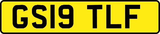 GS19TLF