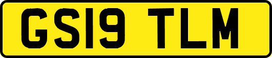 GS19TLM