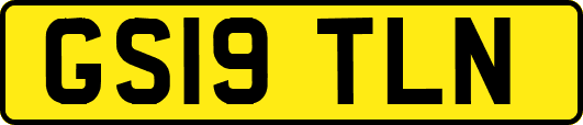 GS19TLN