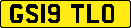 GS19TLO