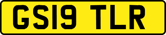 GS19TLR