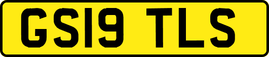 GS19TLS