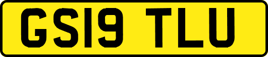 GS19TLU