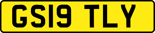 GS19TLY