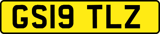 GS19TLZ