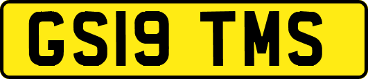 GS19TMS