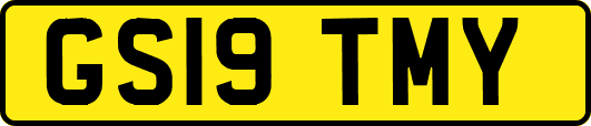 GS19TMY