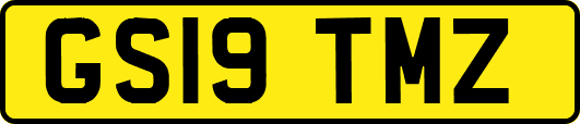 GS19TMZ