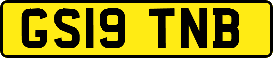 GS19TNB