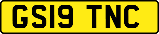GS19TNC