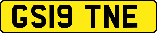 GS19TNE