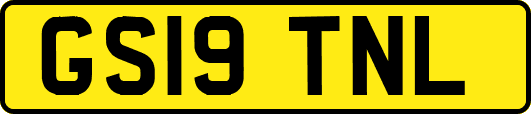 GS19TNL