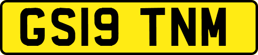 GS19TNM