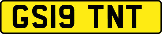 GS19TNT