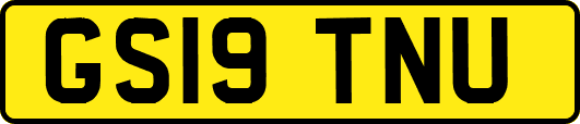 GS19TNU