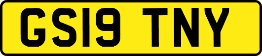 GS19TNY