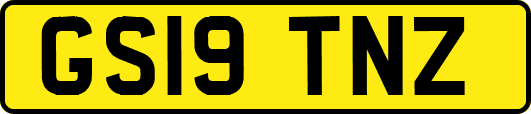 GS19TNZ