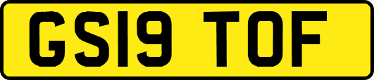 GS19TOF