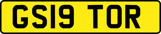 GS19TOR
