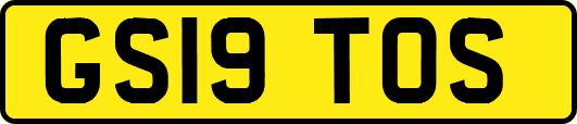 GS19TOS