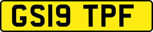 GS19TPF