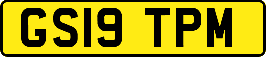 GS19TPM