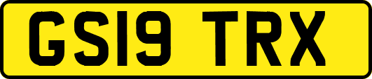 GS19TRX