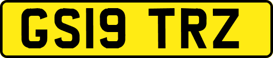 GS19TRZ