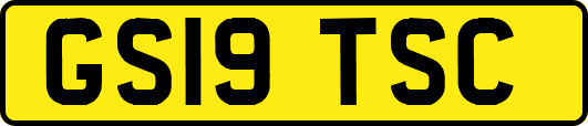 GS19TSC