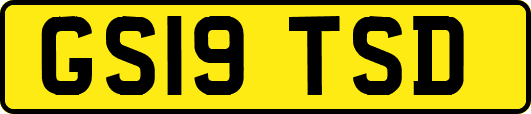 GS19TSD
