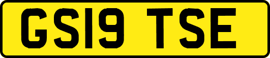GS19TSE