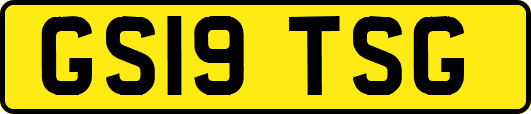GS19TSG