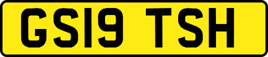 GS19TSH