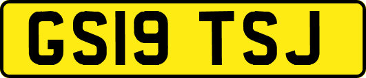 GS19TSJ