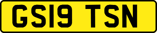 GS19TSN