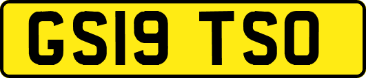 GS19TSO